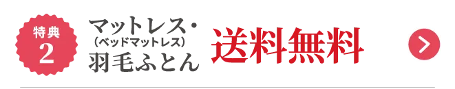 特典2 マットレス（ベッドマットレス）・羽毛ふとん 送料無料
